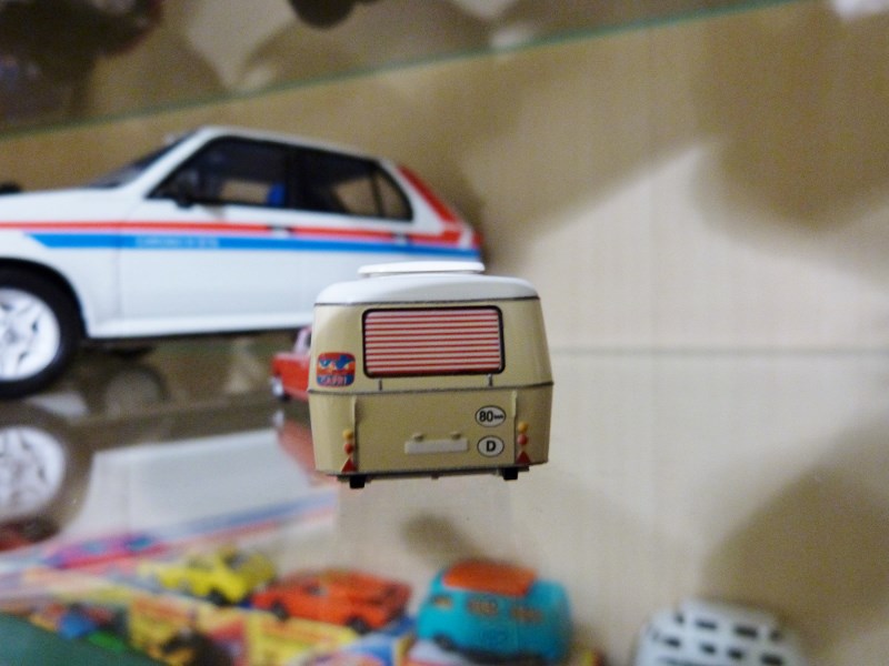 P1070219 (800x600).jpg