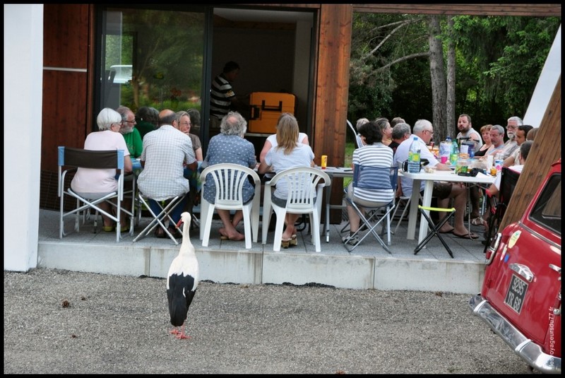 cigogne 1 (Copier).JPG