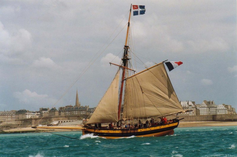 le renard saint malo.jpg