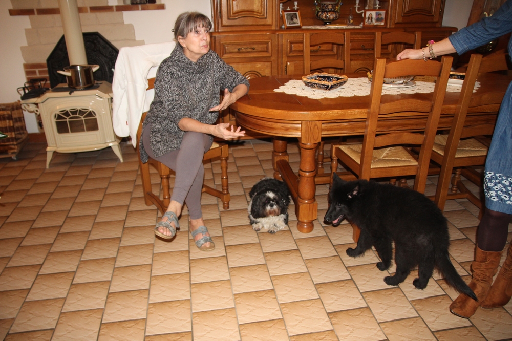 Présentation de Guimauve à Olblack.