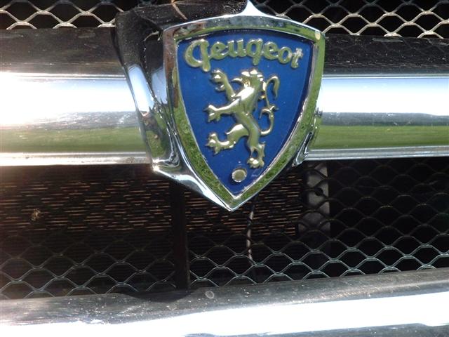 DSCF0085 (Small).JPG