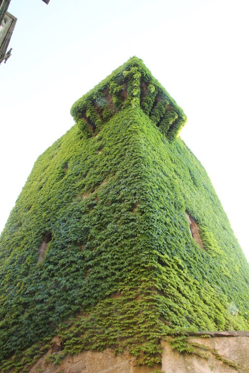 IMG_8759 (Copier).JPG