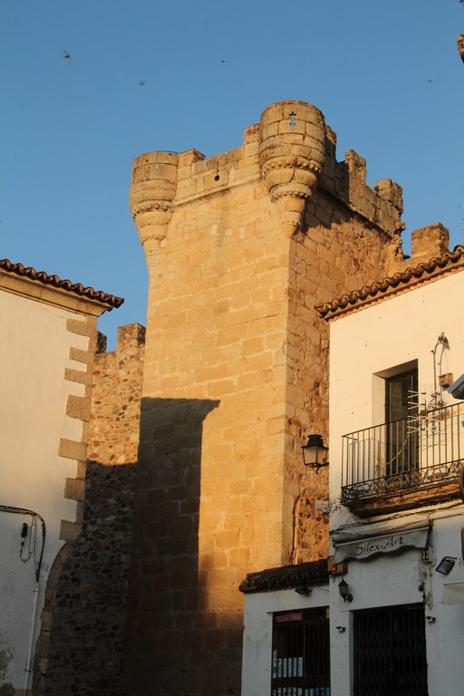 IMG_8801 (Copier).JPG