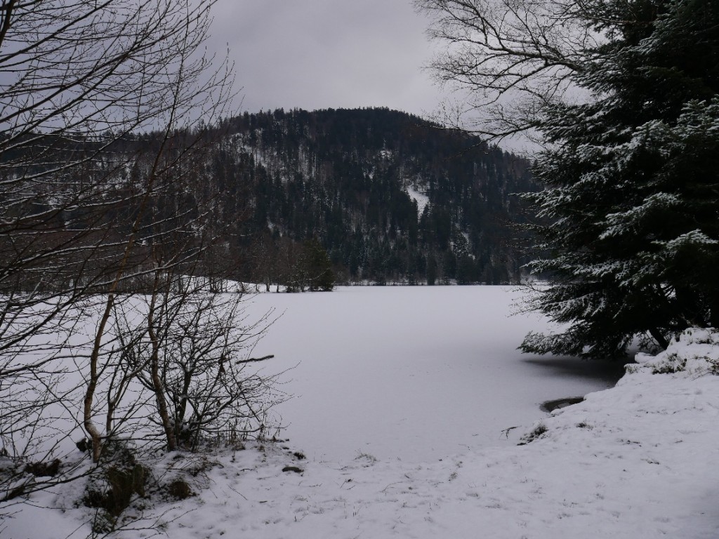 Autour du lac