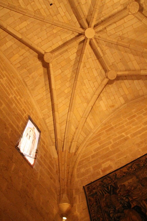 IMG_9848 (Copier).JPG