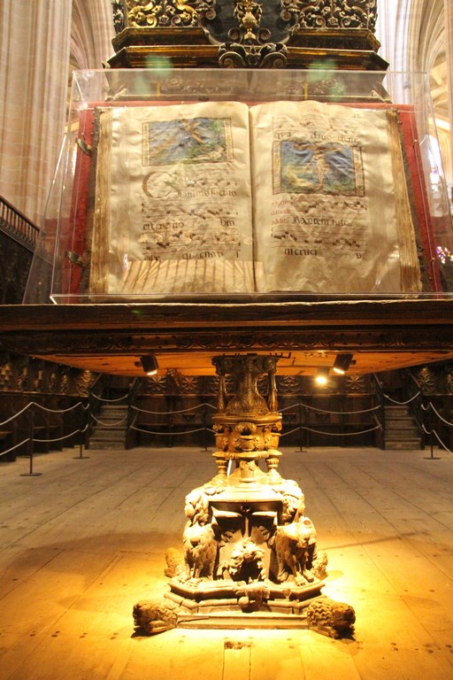 IMG_9985 (Copier).JPG