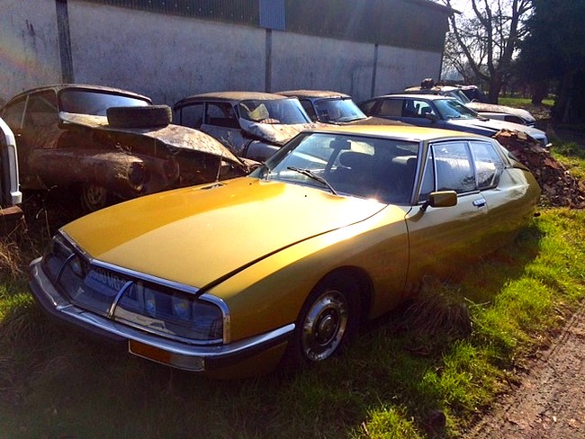 1153 La SM de Cedric .JPG