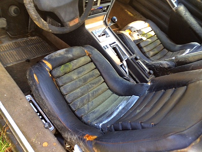 1156 SM Cedric 4 .JPG