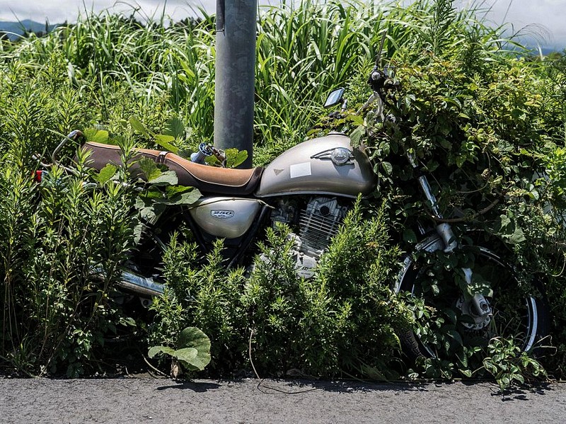 1159 15 ans après Fukushima .jpg