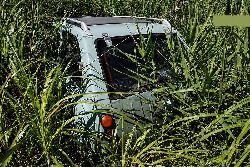 Pas facile à reconnaitre