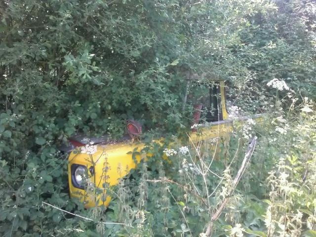 Land S III jaune.jpg