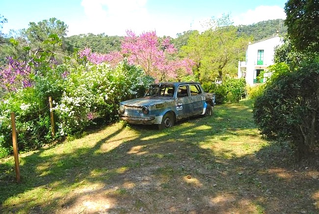 1174 SIMCA 1000 Rally .jpg
