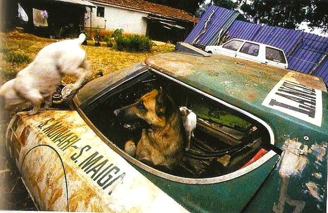 1176 Lacia Stratos .jpg