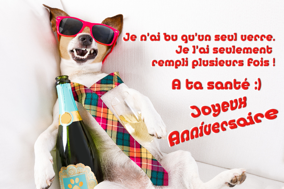 carte-bon-anniversaire-humour.jpg