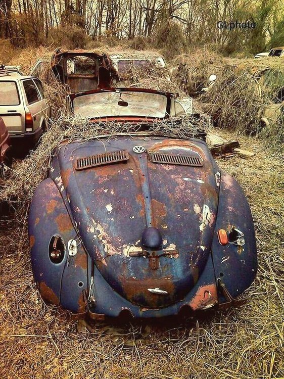 1419 Volkswagen Type 14A Hebmüller Cabriolet années 1950 .jpg