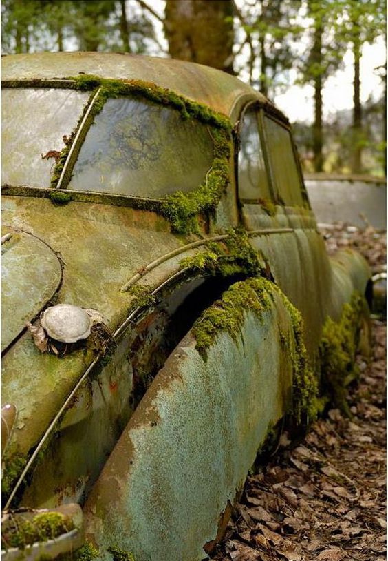 1449 DKW Sonderklasse F 91 1953 59 .jpg