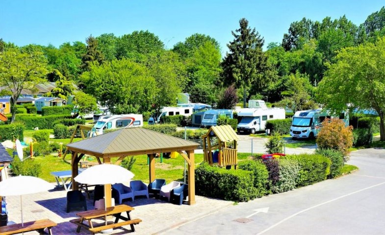 BV (Small).JPG
