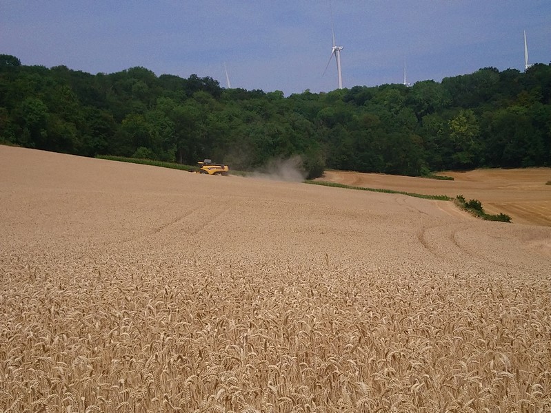 DSC_0691 (Copier).JPG