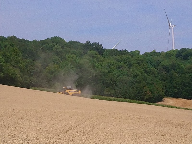 DSC_0692 (Copier).JPG