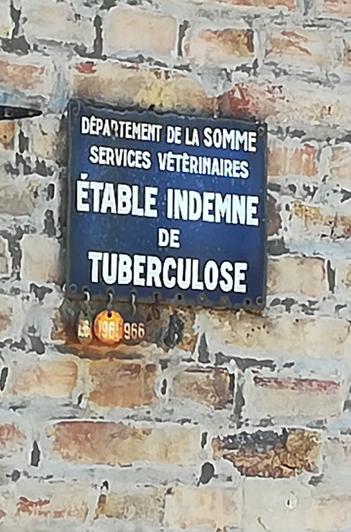 IMG_20190703_152954 (Copier).jpg