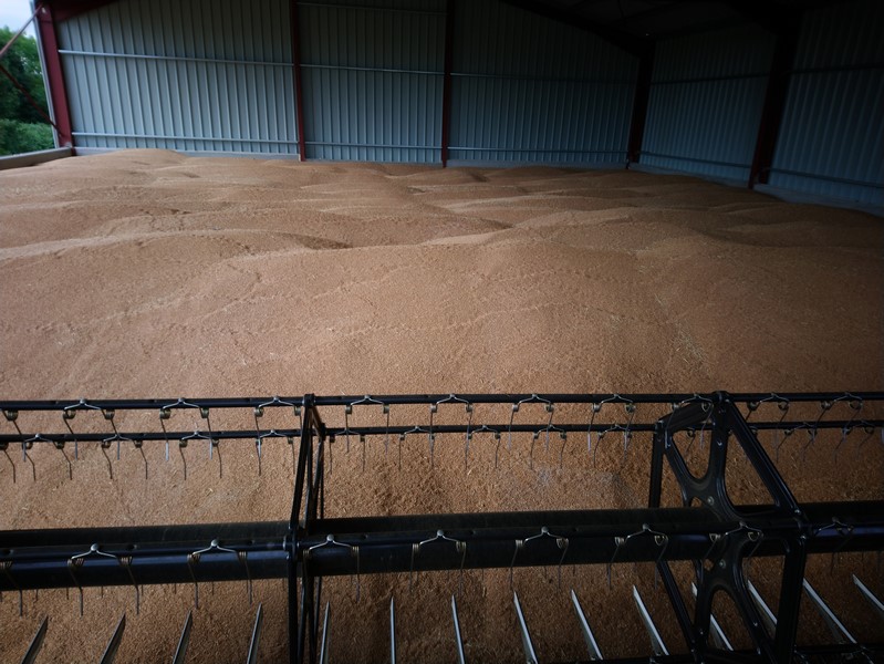 DSC_0741 (Copier).JPG