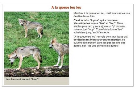 A la queue leuleu.JPG