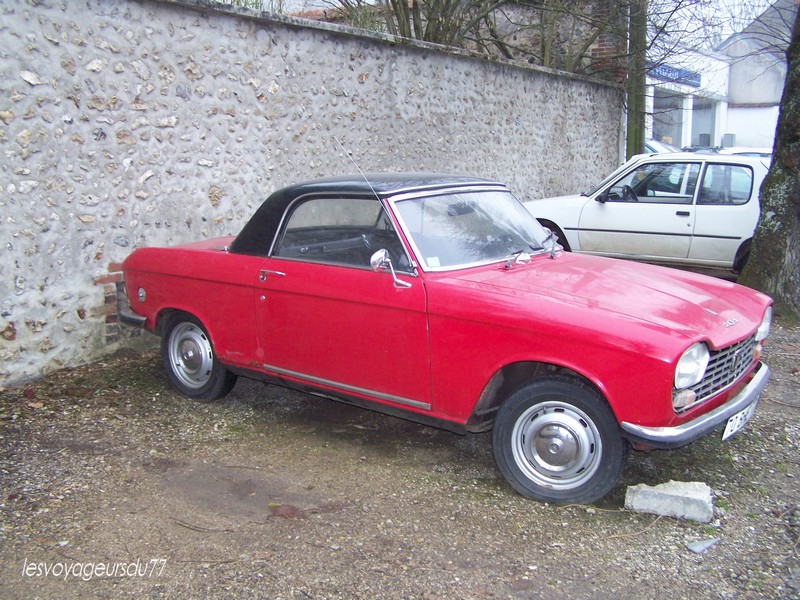 vu dans l'yonne ce matin