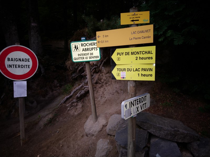 DSC_0787 (Copier).JPG