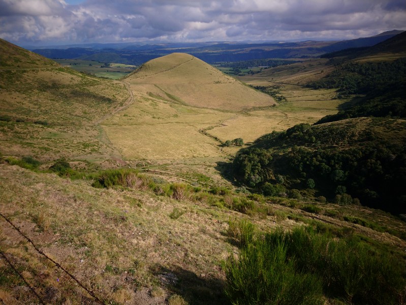 DSC_0789 (Copier).JPG