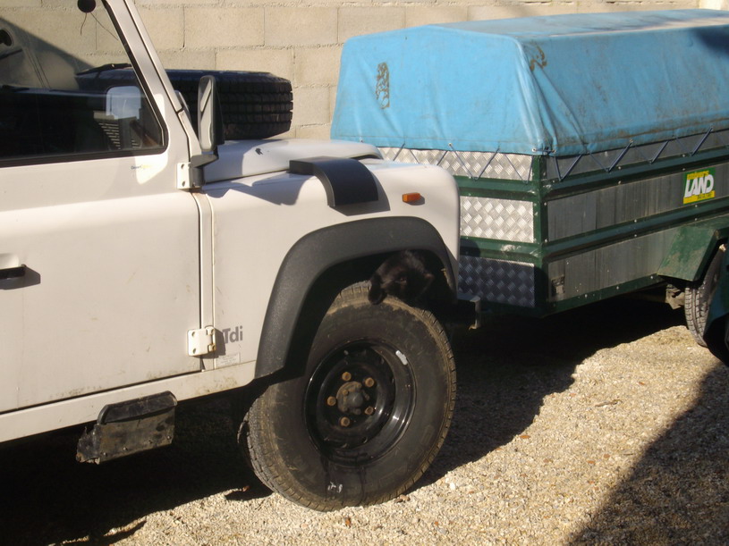 cherchez l erreur.jpg