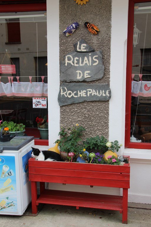 IMG_3751 (Copier).JPG