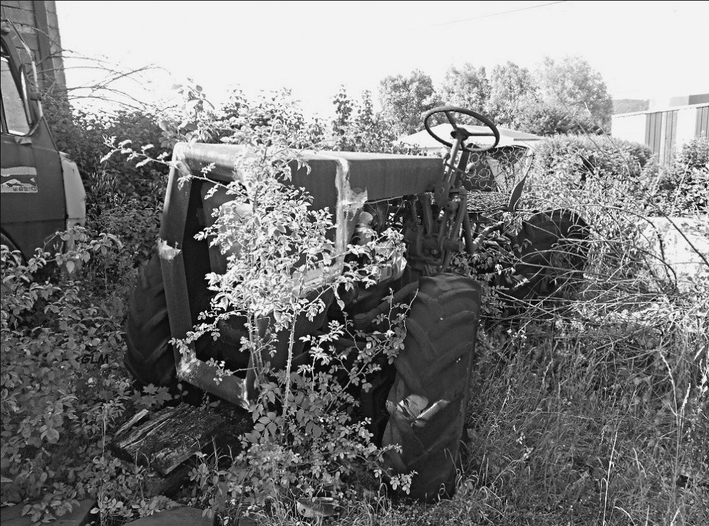 1919 .jpg