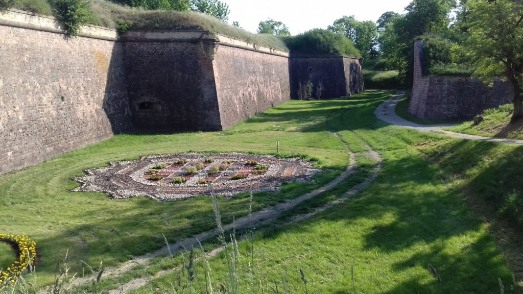 20190605_083604.jpg (280.38 Kio) Vu 11676 fois Camping "Le Vauban" Neuf-Brisach (68) Acsi