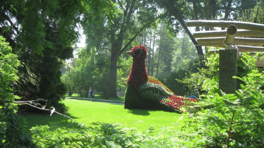 IMG_4856.JPG (298.34 Kio) Vu 11683 fois Ile de Mainau : Un parc floral magnifique