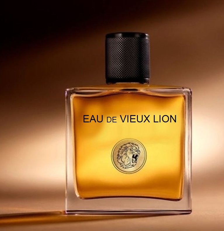 vieux lion2.jpg