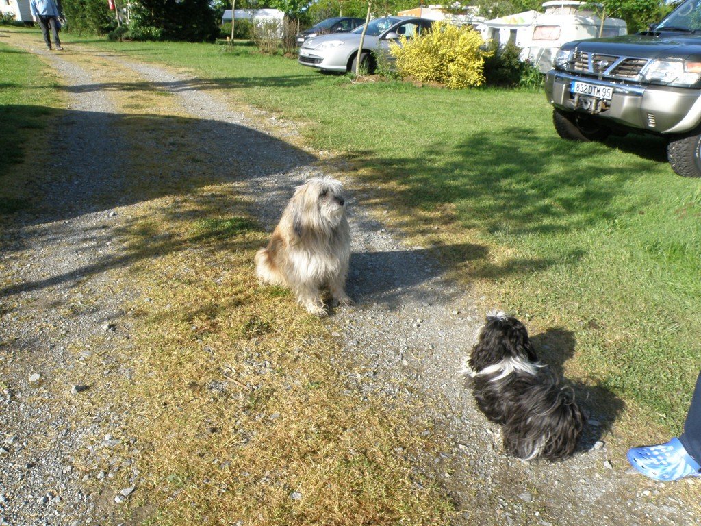 P5110157 (Copier).JPG