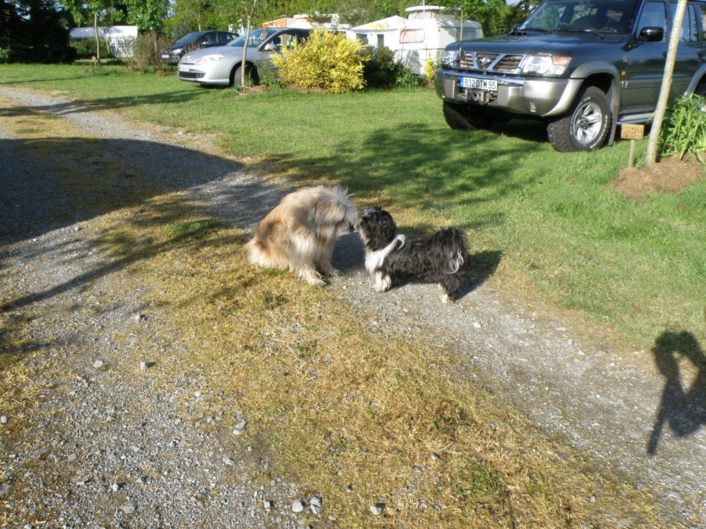 P5110158 (Copier).JPG