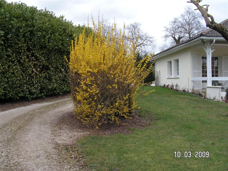 PICT0523 (Medium).JPG