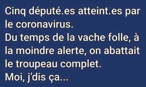 Dépités atteints.JPG