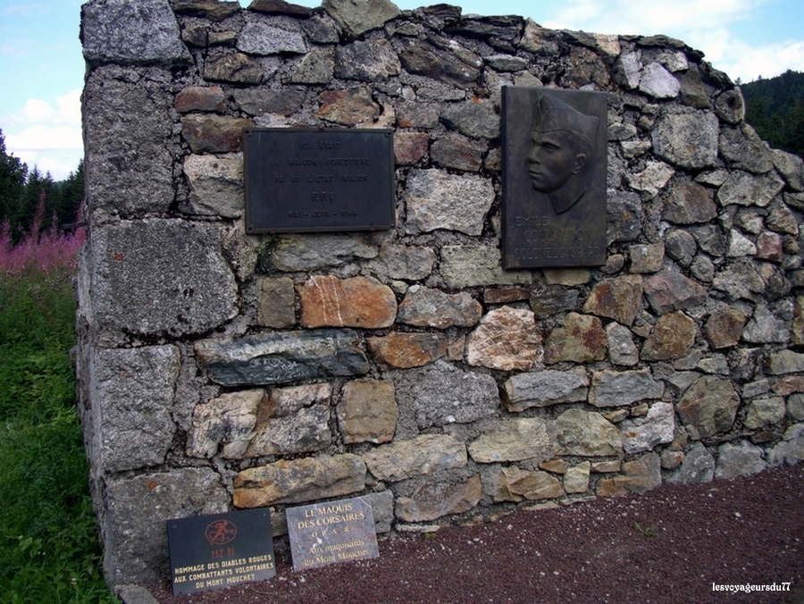 Le mont Mouchet est une montagne du massif de la Margeride culminant à 1 497 mètres. Il est situé en bordure des départements de la Haute-Loire et de la Lozère et non loin du Cantal.