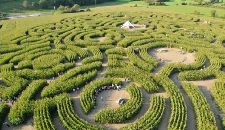 Labyrinthe de Barvaux.jpg