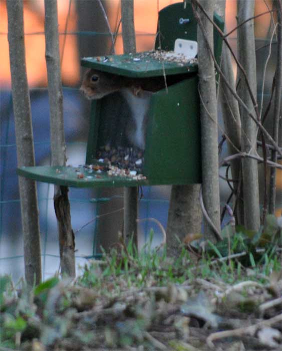 DSC_0035.jpg