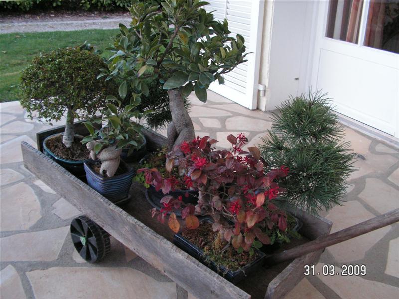PICT0578 (Medium).JPG