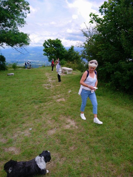 Au dessus de Grenoble, Le Fort de la Bastille