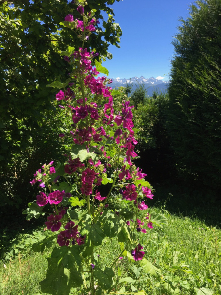 Saint-Hilaire
