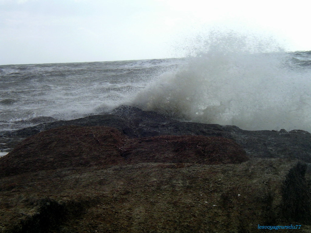 mer1.JPG (407.73 Kio) Vu 14070 fois en vendée