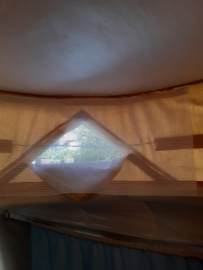 20200820_163251 (002).jpg