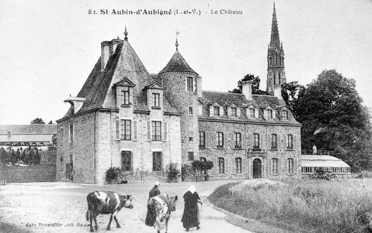 Chat St Aubin d'Aubigné.jpg