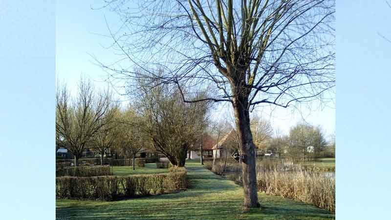 Camping-Les-Chenes-Valencay-9_Exterieur_Allee_4.jpg