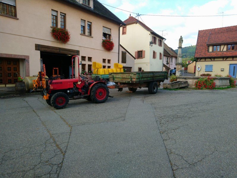 EGUISHEIM la fin des vendanges.